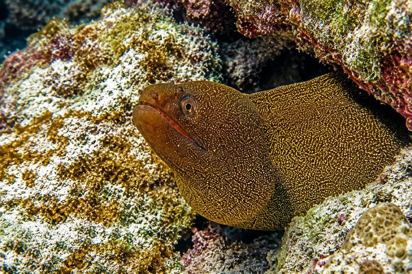 Bonaire National Marine Park